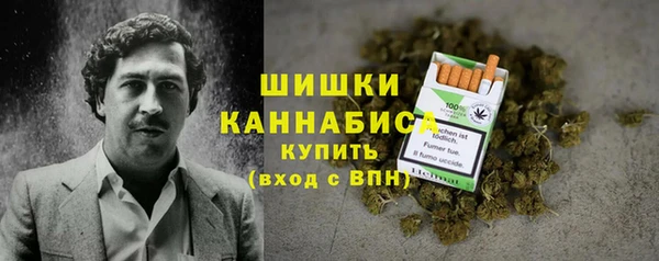 прущие грибы Осташков