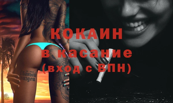 прущие грибы Осташков